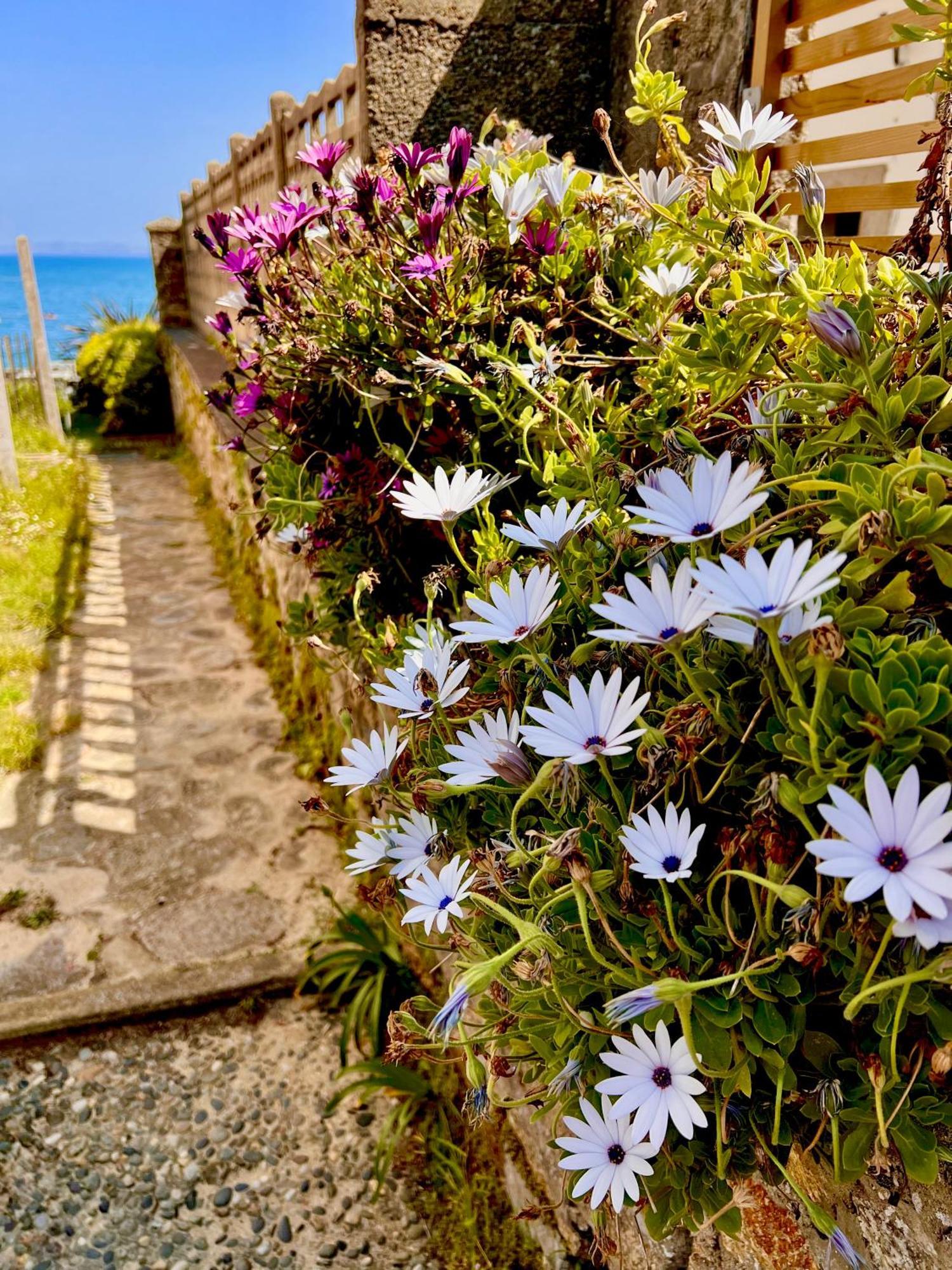 Apartmán Glaz Ocean Douarnenez Exteriér fotografie
